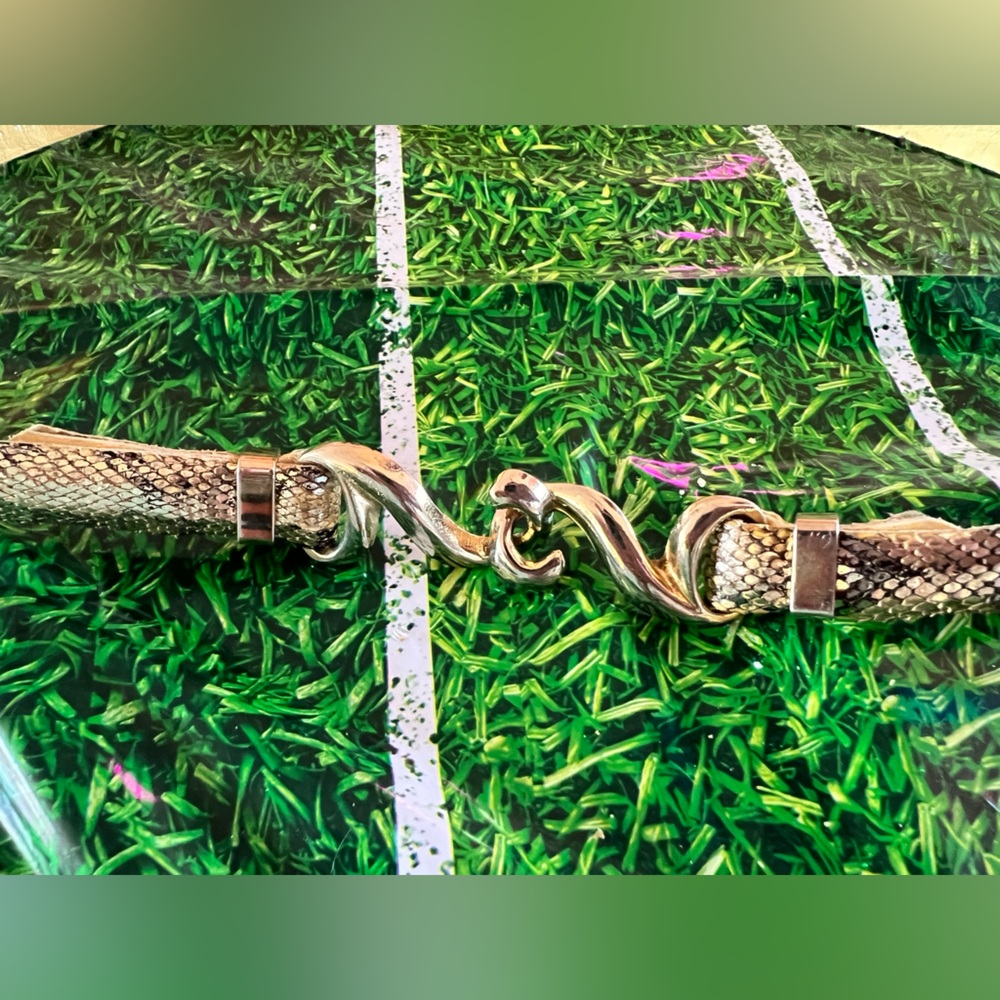 Vintage snack skin and gold belt